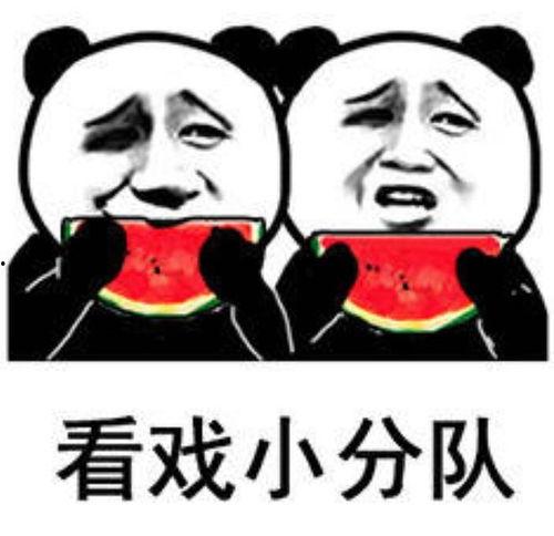 娱乐圈吃瓜的表情包,笑料百出!  第1张 娱乐圈吃瓜的表情包,笑料百出!  第1张