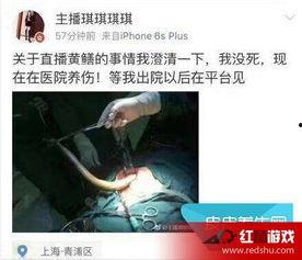 黄鳝门21分钟完整版在线观看,揭秘事件真相与幕后黑幕  第2张 黄鳝门21分钟完整版在线观看,揭秘事件真相与幕后黑幕  第2张