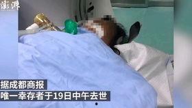 新闻爆料中毒事件视频,视频揭露惊人真相,警方紧急介入调查