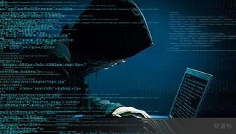 黑客爆料正能量视频大全,黑客爆料精选视频大盘点  第2张 黑客爆料正能量视频大全,黑客爆料精选视频大盘点  第2张