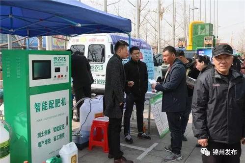 锦州今日爆料电话,电话揭露惊人内幕,真相令人震惊!