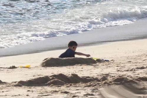 光裕沙滩最新爆料事件,最新爆料揭露惊人内幕  第3张 光裕沙滩最新爆料事件,最新爆料揭露惊人内幕  第3张