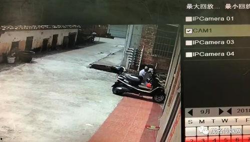 老油条爆料的视频,视频内容深度解析  第2张 老油条爆料的视频,视频内容深度解析  第2张